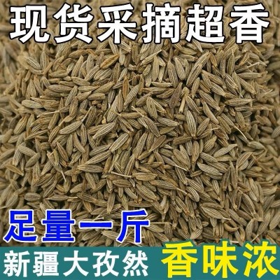 批发新疆正宗特产孜然粒500g烧烤撒料香料调味磨粉小茴香 烤肉调味图2
