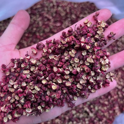 甘肃武都花椒陇南花椒 红花椒 源头厂家 花椒粒批发火锅底料图2