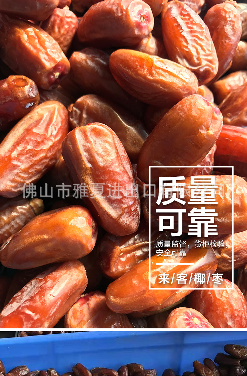 来客批发详情_02.jpg