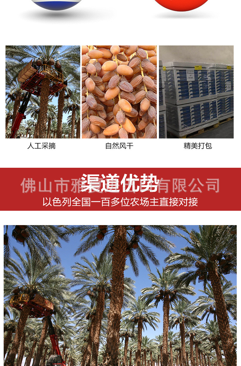 来客批发详情_05.jpg