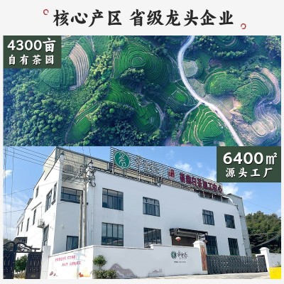 福鼎白茶老白茶寿眉散茶枣香药香老茶叶源头工厂代发批发图3