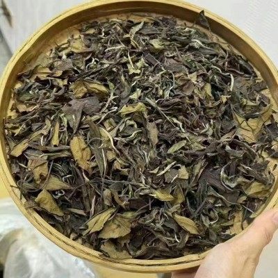 高山白茶老贡眉正宗高山老白茶枣香散茶500g手提一斤图2
