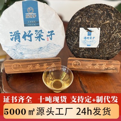 茶云南勐海滑竹梁子普洱古树357g生饼茶叶工厂现货批发普洱茶饼茶图1