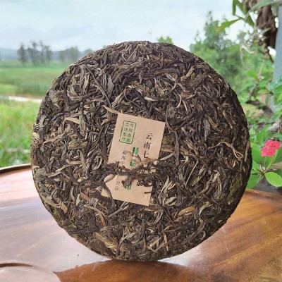 普洱茶生茶云南茶饼生普勐海布朗山七子饼茶古树茶厂家批发茶叶图3