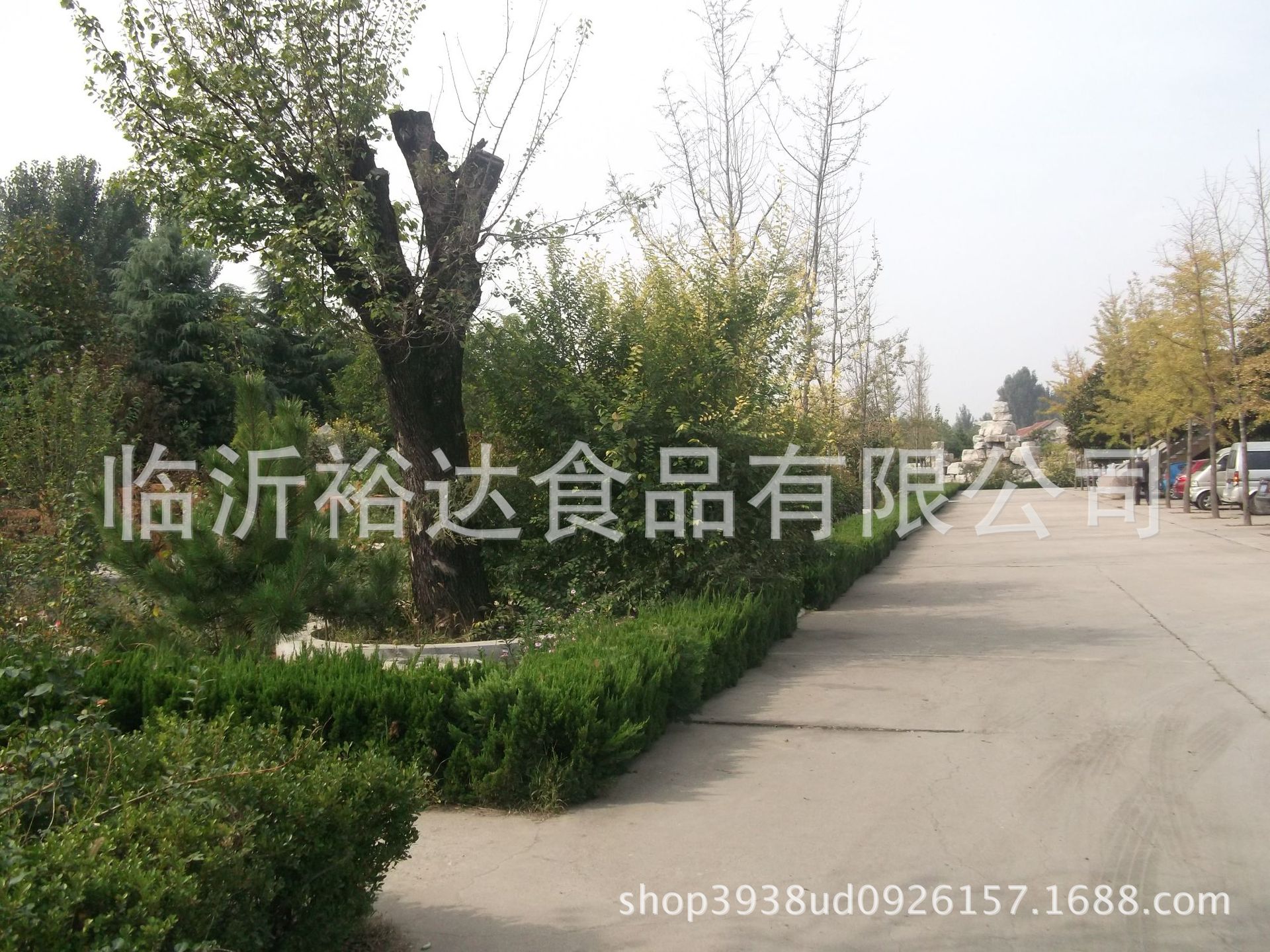 DSCF2040
