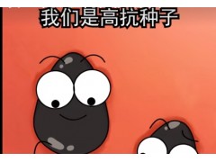 种西瓜不仅要种子好，土壤也得好啊西瓜种植