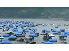 大国农业：海鲜牧场