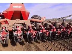 向日葵如何种植和加工-葵花籽油制作全过程