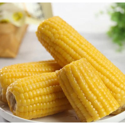 东北玉米棒非转基因吉林糯玉米独立真空包装黄玉米一件代发批发