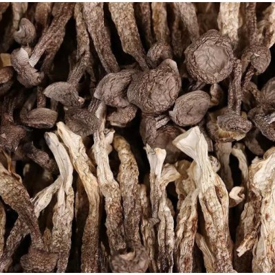 厂家直供鹿茸菇干货鹿茸菌产地直发非野生脆脆菇干菇煲汤蘑菇香菇