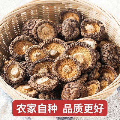 【无干燥剂】香菇干货古田肉厚无根干香菇蘑菇农家冬菇菌菇图3