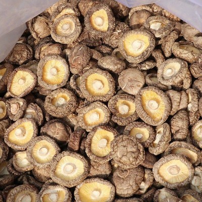 【无干燥剂】香菇干货古田肉厚无根干香菇蘑菇农家冬菇菌菇图2