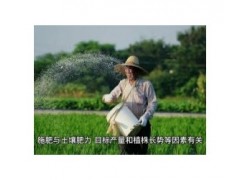 农业种植技术，西瓜怎么种不重茬的方法