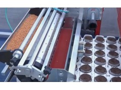 科技农场蔬菜种植技术！