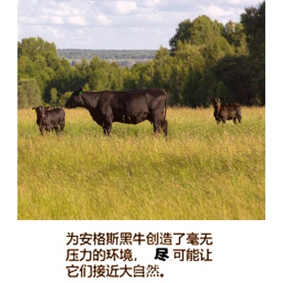 俄罗斯进口谷饲安格斯眼肉牛排m3原切牛扒冷冻生鲜肋眼牛排1000g  5千克