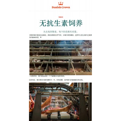 丹麦皇冠去皮挑骨五花肉进口冷冻猪肉胸腹肉韩式烤肉日式火锅食材   10千克