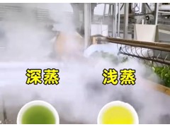 抹茶种植：产量的提升，却没能让价格下降！