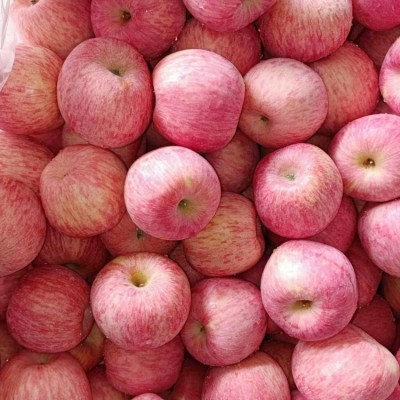 烟台红富士 奶油富士苹果礼盒包邮 新鲜水果 栖霞红富士苹果