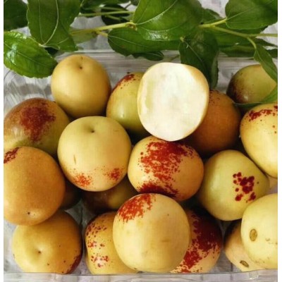 大荔冬枣产地代收