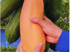 木瓜矮化嫁接成活率高技术门槛低，可提早结果方便管理增产，契合商业化果园的种植生产需求