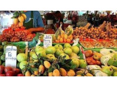 越南水果产业的新里程碑