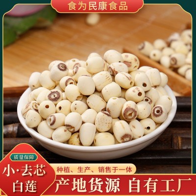 贡莲皇 小去芯白莲子批发 新鲜通芯白莲干货产地直供通芯莲子