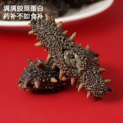海参大连海参拉缸盐半干淡干海参干货非即食海参酒店食材工厂批发图4