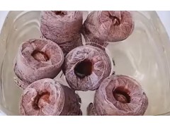 方形西瓜​​种植​​技术​