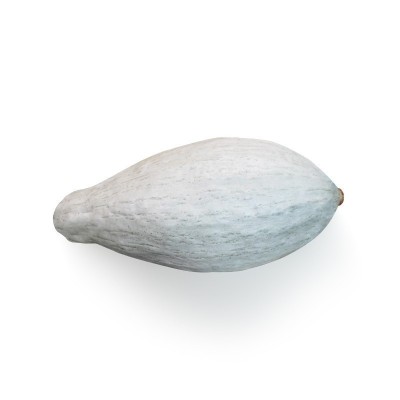【批发】新疆贵族南瓜粉糯香甜沙漠银板栗老南瓜宝宝辅食一件代发