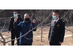 苹果种植技术讲解
