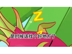 火龙果里边还会长出壁虎？