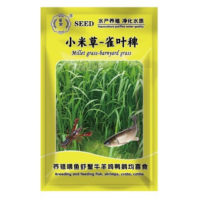 鱼塘专用水草小米草牧草种种子草鱼耐高温耐水淹四季雀叶稗草籽子