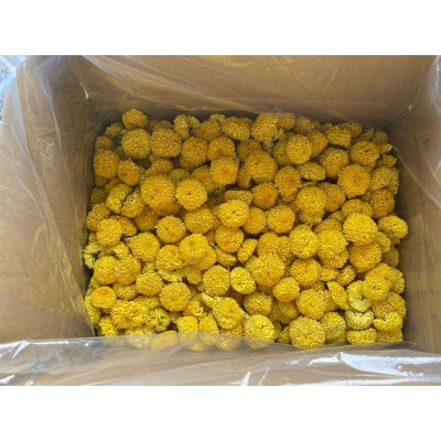 厂家供应徽州皇菊婺源皇菊金丝皇菊高山菊花茶量大从优无糖茶