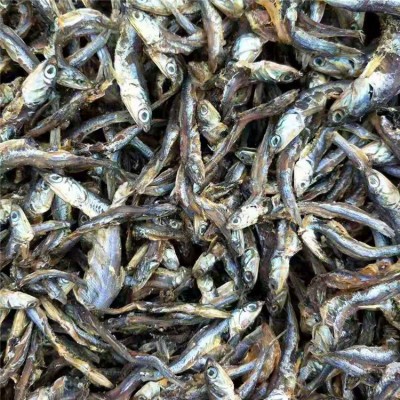 直销饲料级鱼干纯淡干狐貉料专用鱼干鸡猪饲料用鱼干猫粮龟粮