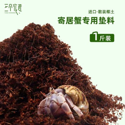 寄居蟹专用营养土天然椰土苔藓垫料保湿保温寄居蟹爬宠专属营养土